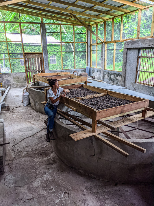 lessons from farming: reflecting on life at the bottom of the food chain
