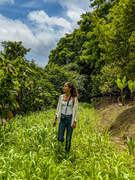Why we need to return to the land: a vision for Grenada’s future