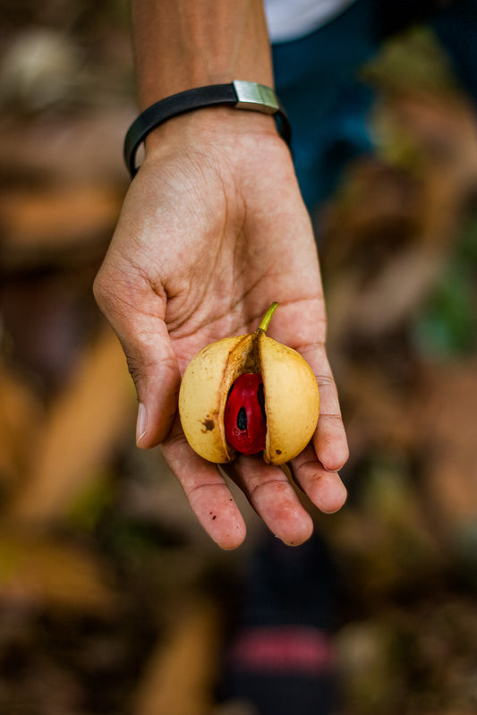 Our Nutmeg Estate in Grenada, plus a guide to buying quality spices