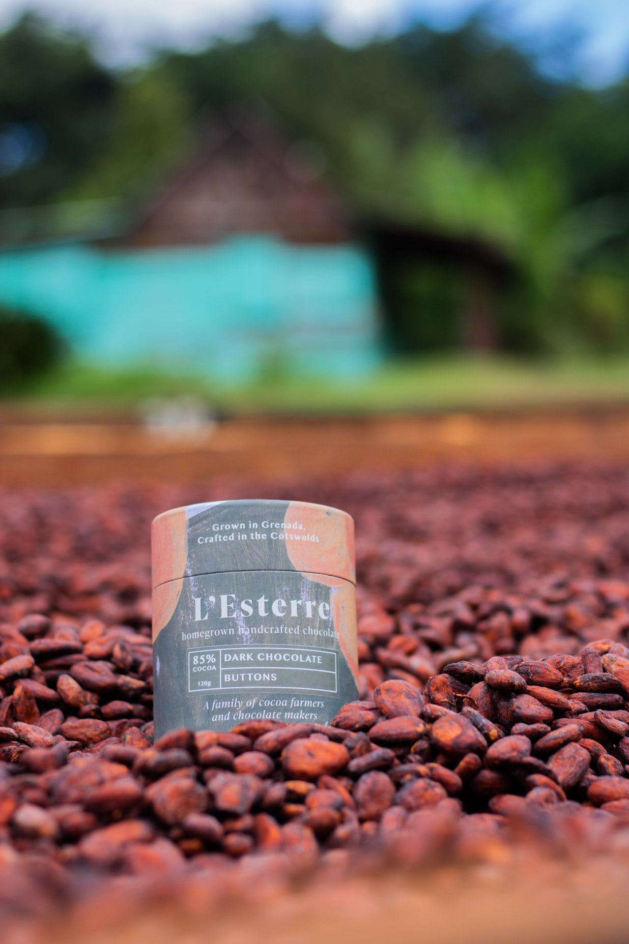 85% Grenada Fine Dark Chocolate Buttons Pot