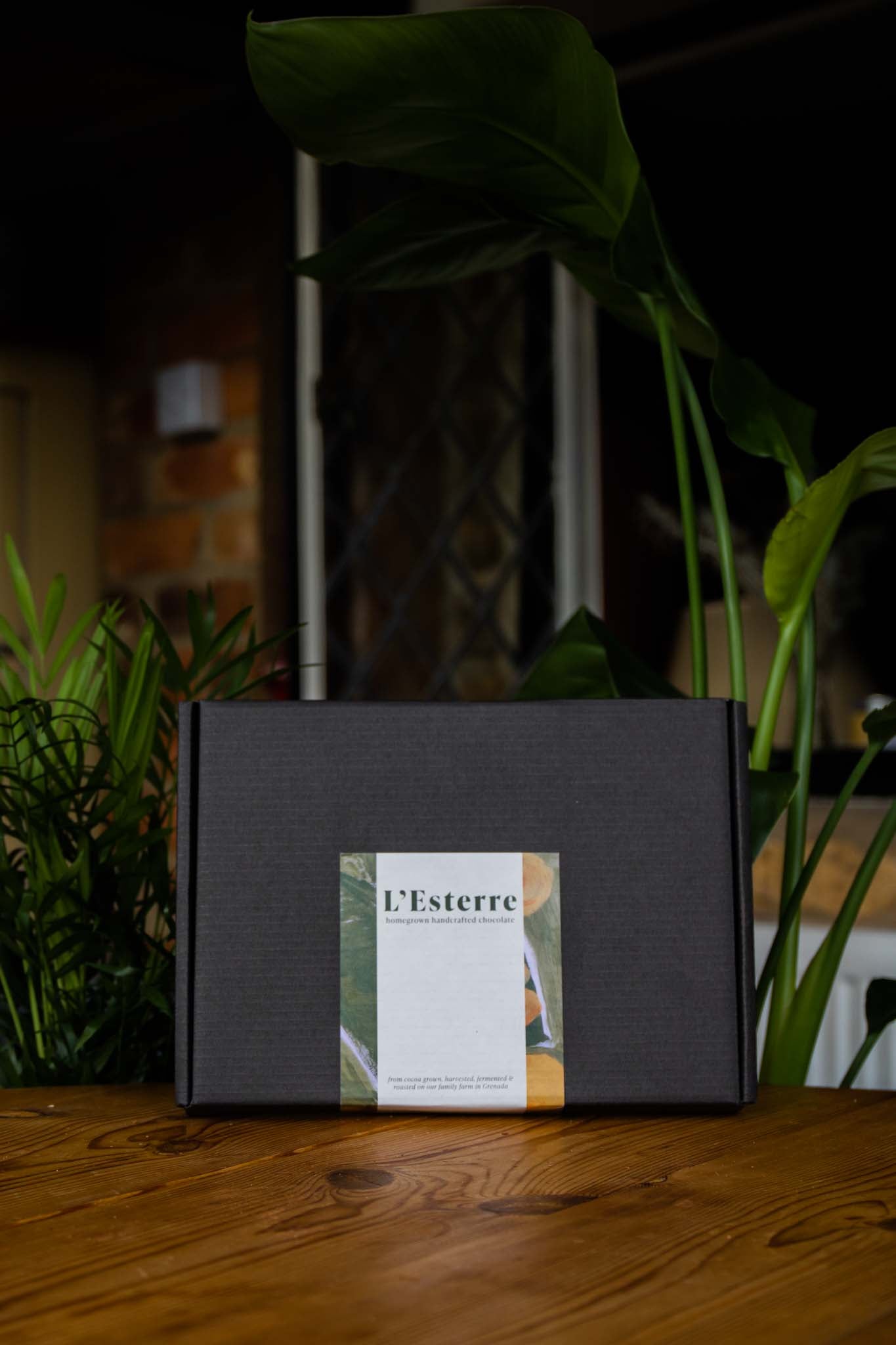 The Starter Collection Gift Set
