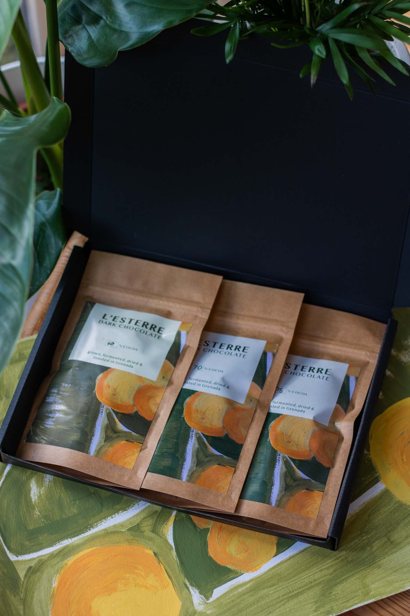 The Starter Collection Gift Set