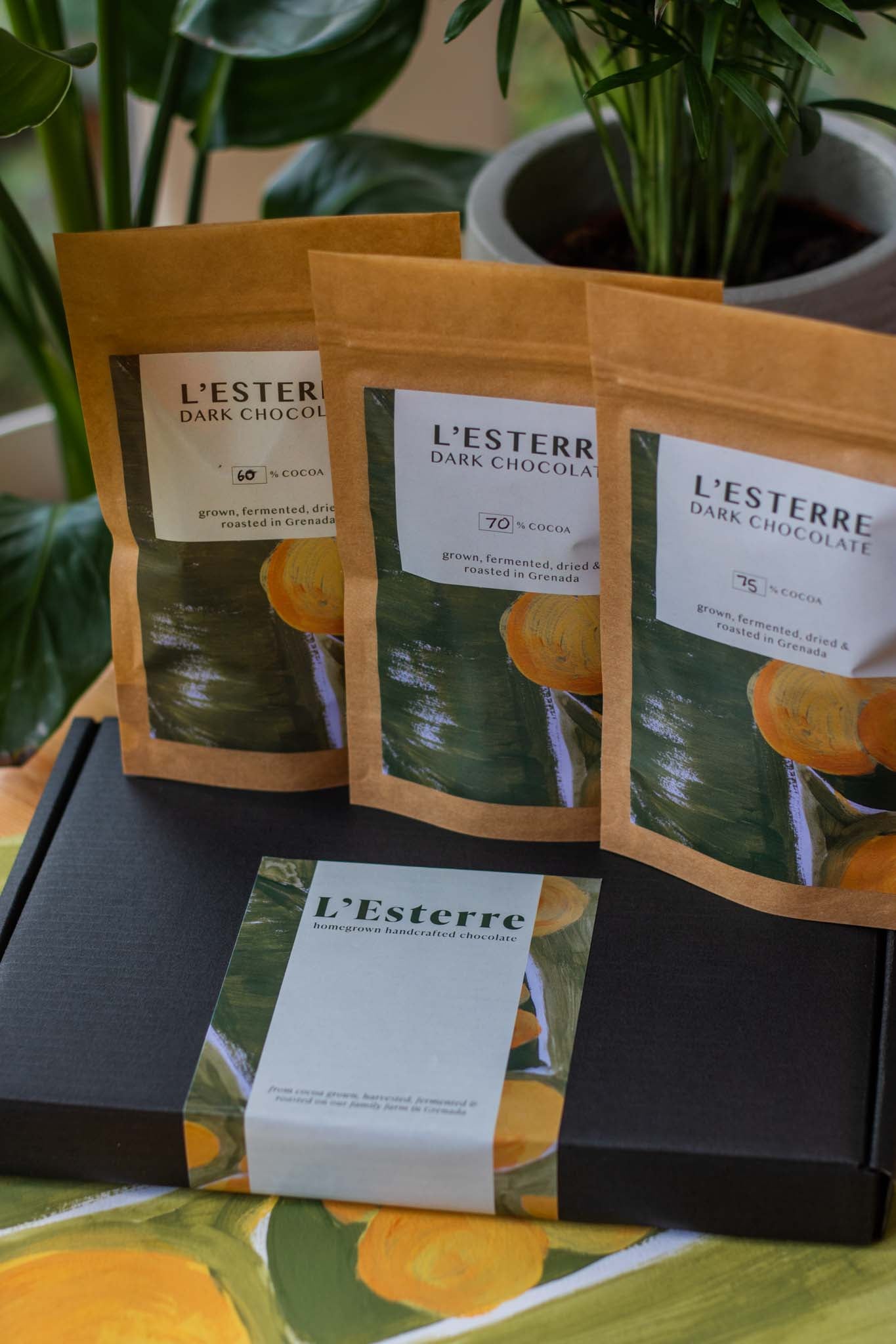 The Starter Collection Gift Set