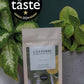 70% Grenada Dark Chocolate Buttons Pouch
