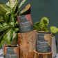The Choc Pot Trio Collection